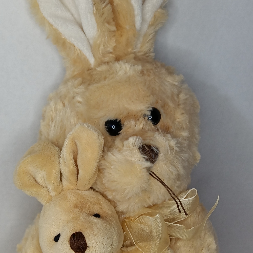 Momma Easter Bunny Holding Baby bunny